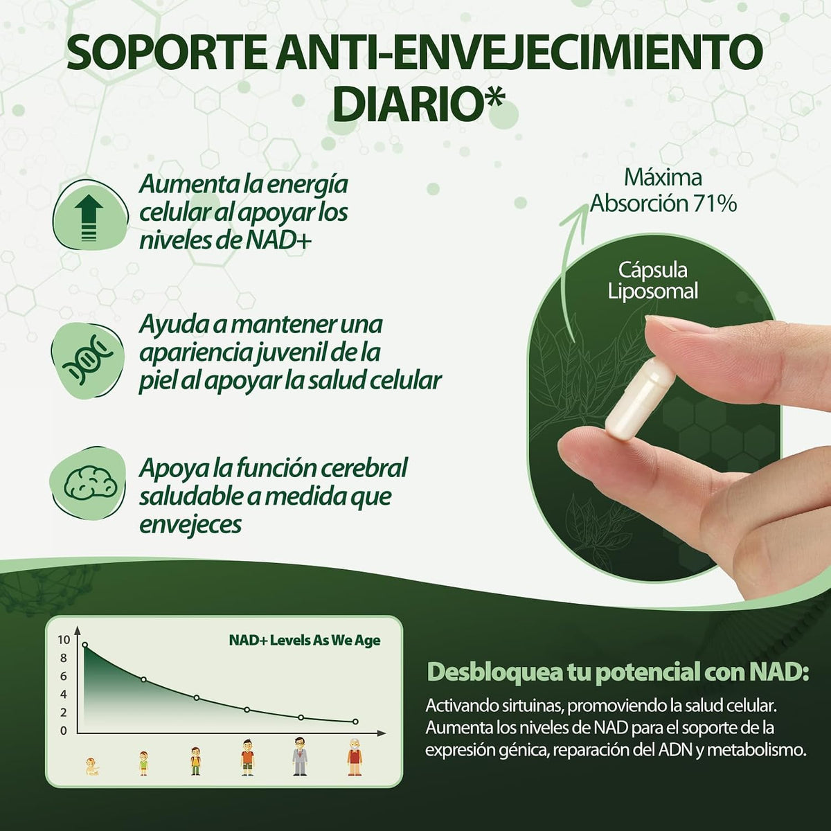 Windboss NAD+ Liposomal NR 900mg : Formule avec quercétine et resvératrol, développée comme partie de votre routine quotidienne. Avec des ingrédients soigneusement sélectionnés et un emballage pratiqu