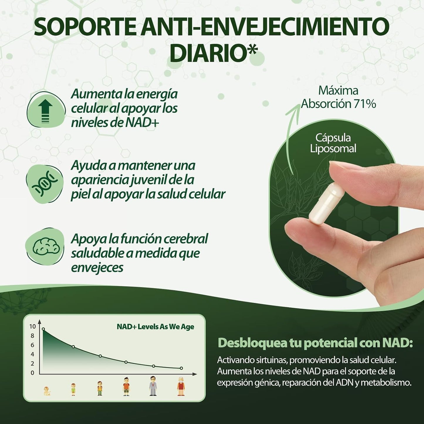 Windboss NAD+™ - Gélules à base de NAD+