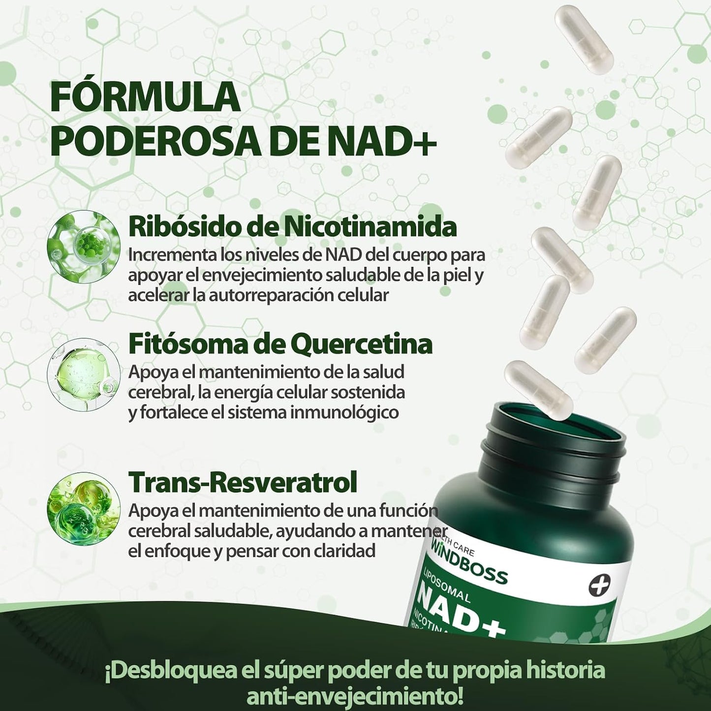 Windboss NAD+™ - Gélules à base de NAD+